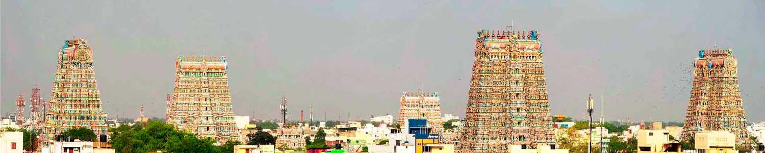 India Tour
