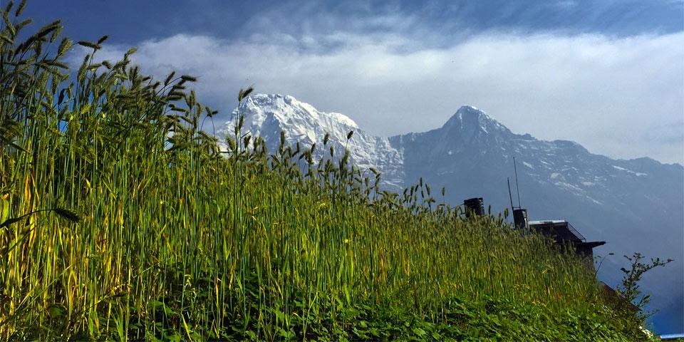 Annapurna View Poon Hill Trek