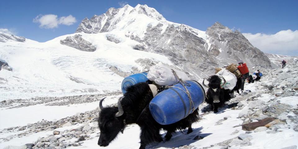 Mount Cho Oyu North Expedition