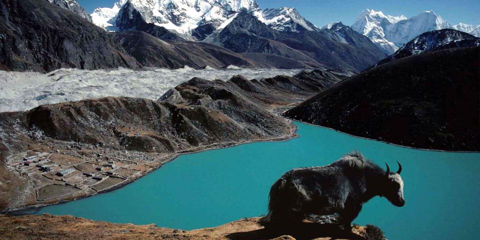 Everest BC Gokyo Lake Trek