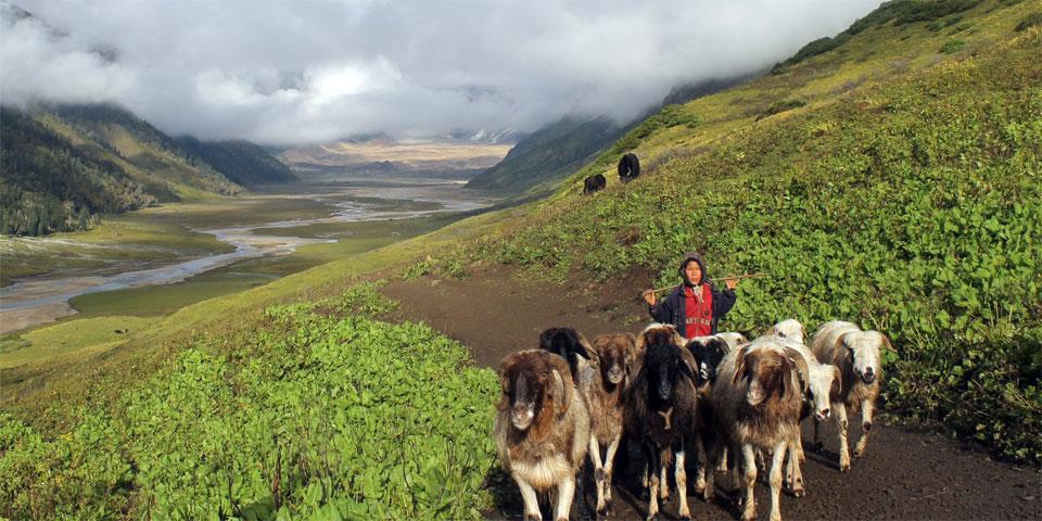 saipal Base Camp Trek4