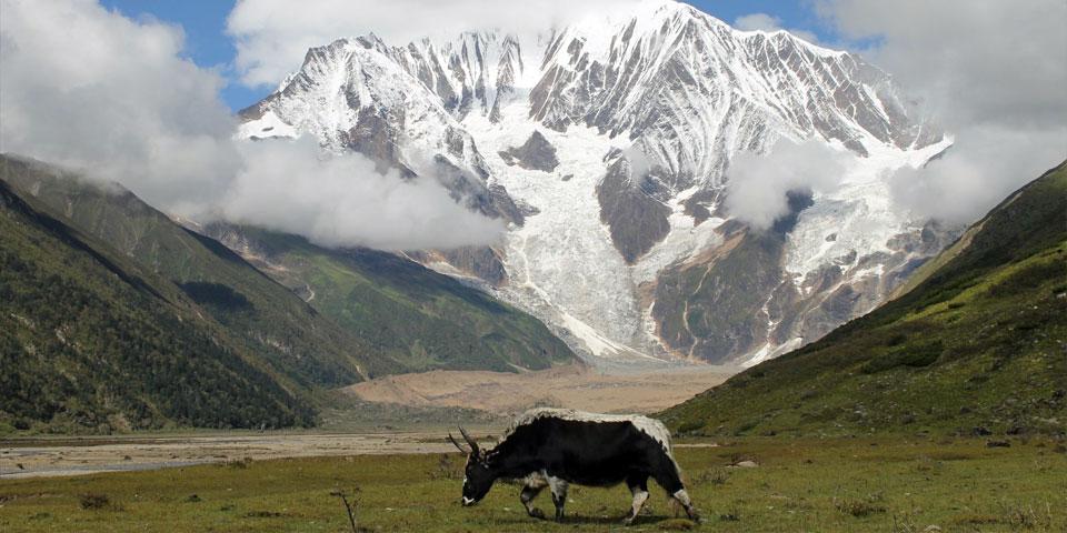 Saipal Base Camp Trek