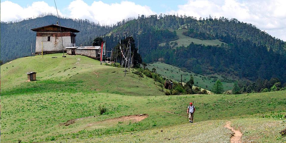 Tsaluna or Druk Path Trek