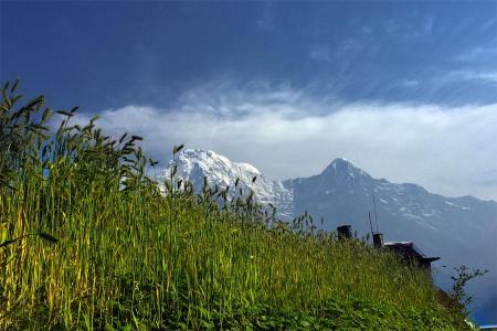 Annapurna View Poon Hill Trek