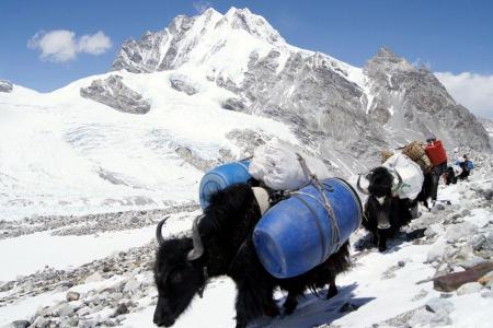 Mount Cho Oyu North Expedition