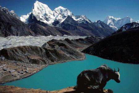 Everest BC Gokyo Lake Trek