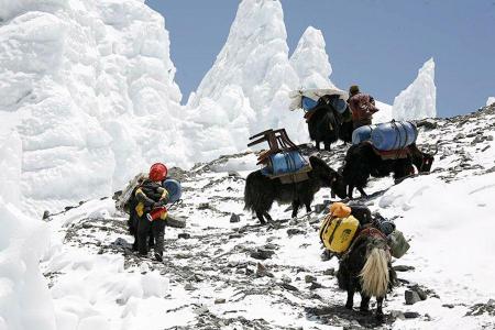 Kharta & Khangsung Valley Trek