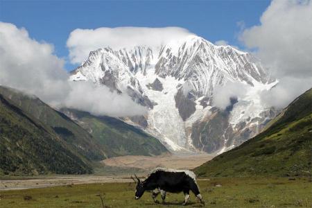 Saipal Base Camp Trek