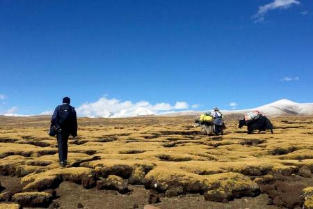 Short Trekking Near Lhasa City